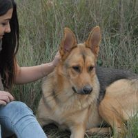 laura  laguia's Photo