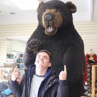 Zdjęcia użytkownika Tobi Rösti