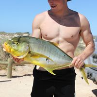 Фотографии пользователя Declan Armstrong