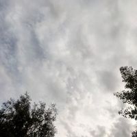 Eliana D'Arc's Photo