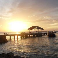 Jonathon Young's Photo