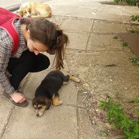 Mateja Lasnik's Photo