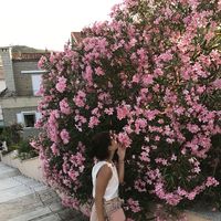 Anya Slyvenko的照片