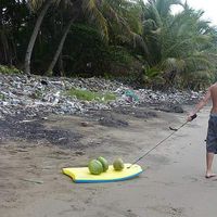 Johan et Gwendoline's Photo