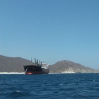 Miguel Martinez的照片