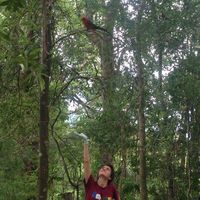 Sibilla Guillen的照片