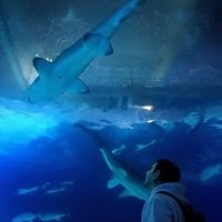 David Andres Campoverde Jimenez's Photo