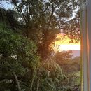 Intercambio De Idiomas 's picture