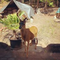 Brett Hollybow's Photo