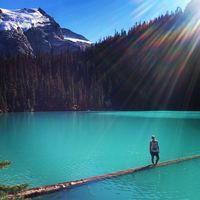 Carlee Herbert的照片