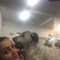 Y @  m  i  L  e的照片