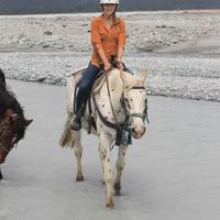 Natascha Bollenbach's Photo