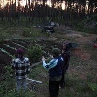 Chris Lankinen's Photo