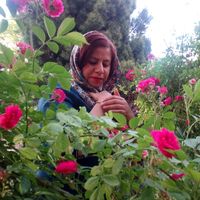 Sara Ghasemi's Photo