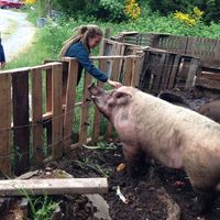 Anna Plambeck's Photo