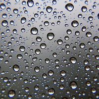 Vladimir Kanchev's Photo