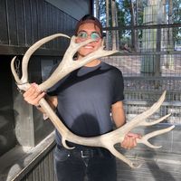 Фотографии пользователя Aarón Padilla