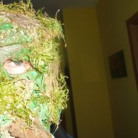 Photos de HANS DRESSLER