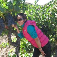 Weiwei Huang's Photo