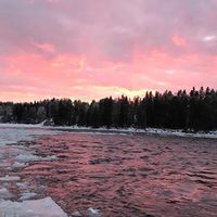 Svea Meijer的照片