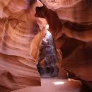 Foto de Day Trip To Zion &/or Grand Canyon National Park