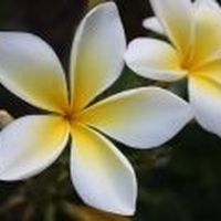 Jessi Morgan's Photo