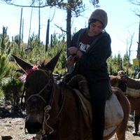 Lissa Fermin's Photo