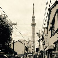 Long Nguyen Duy's Photo