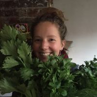 Hilke Johanna Rempe的照片