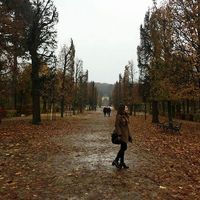 Fotos de Angela Suarez Corihuela