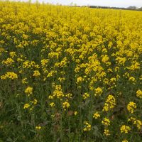 Nadia Ramirez's Photo