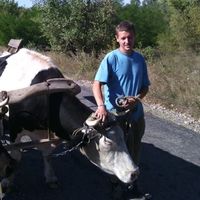 Dmitry Samborsky的照片