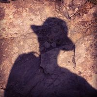 Eugenio Fernandez Marín的照片