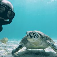 Freddy Troukens's Photo