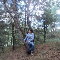 Ann Shevtsova的照片