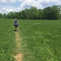 Hazlett Henderson's Photo