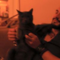 Photos de Alejandro Lavín