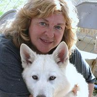 Fotos von Diana Sichtum