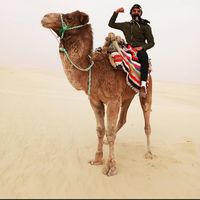 khalil joke的照片