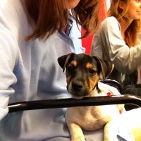 Ariadna Alonso的照片