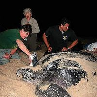 Alfred Olivas的照片