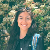 Paula Azeredo的照片