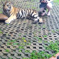 Bailey Francom的照片