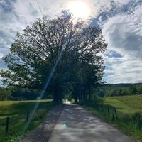 Ashley Barnett's Photo