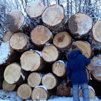 Ilya Berdysh的照片