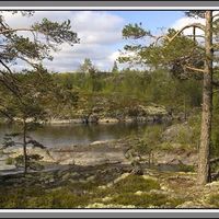 Dmitry Viktororovich的照片