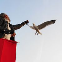 Abd Al Kareem Haniya's Photo