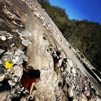 Neelam  Sharma's Photo