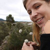 Fotos de Luísa Menin