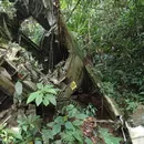 I want to hike to the B-24 crash site's picture